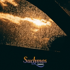 THE ASHTRAY【完全生産限定盤/アナログ盤】 | Suchmos | ソニー