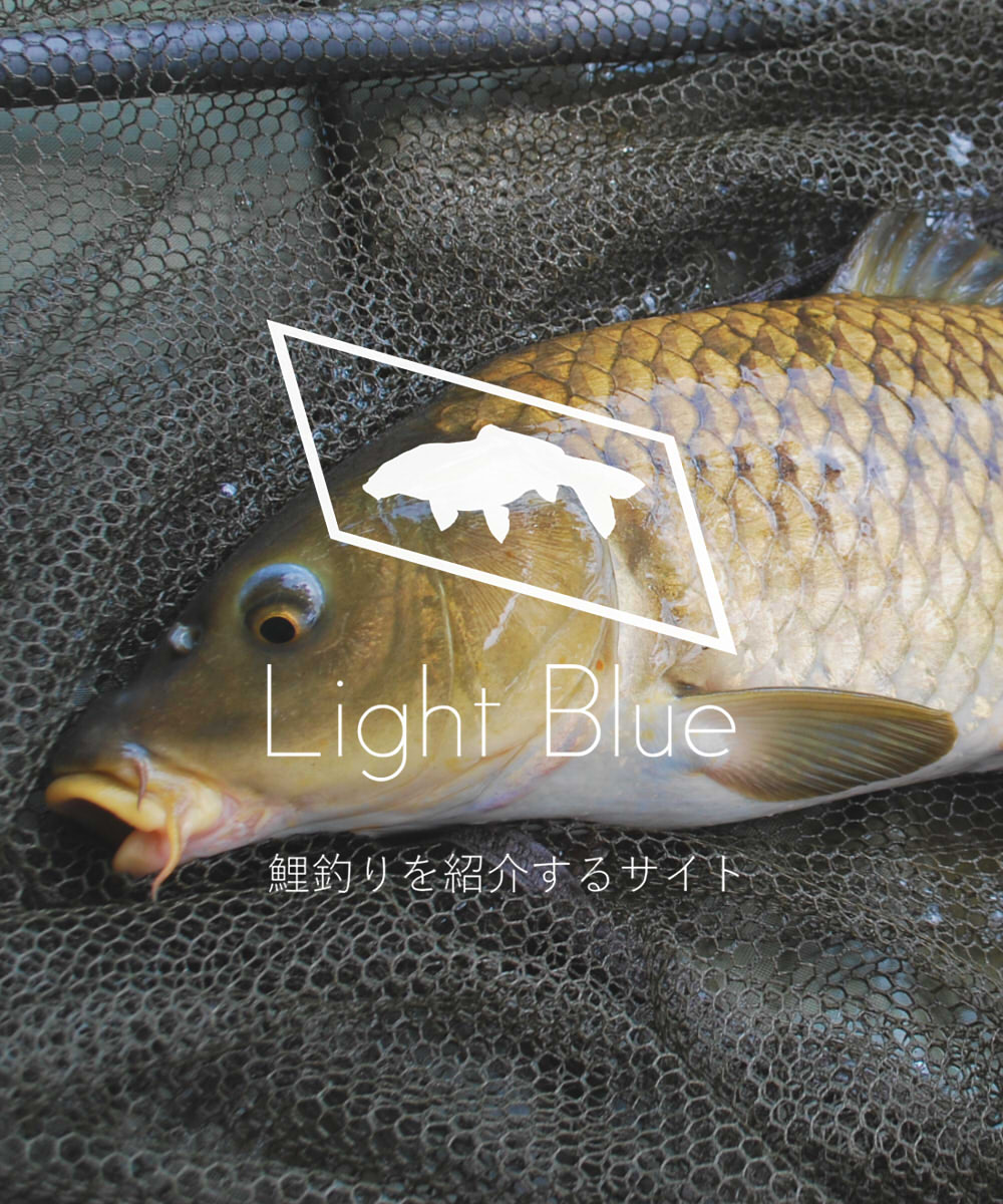 鯉釣り釣行記No.85「夏の川鯉」｜Light Blue