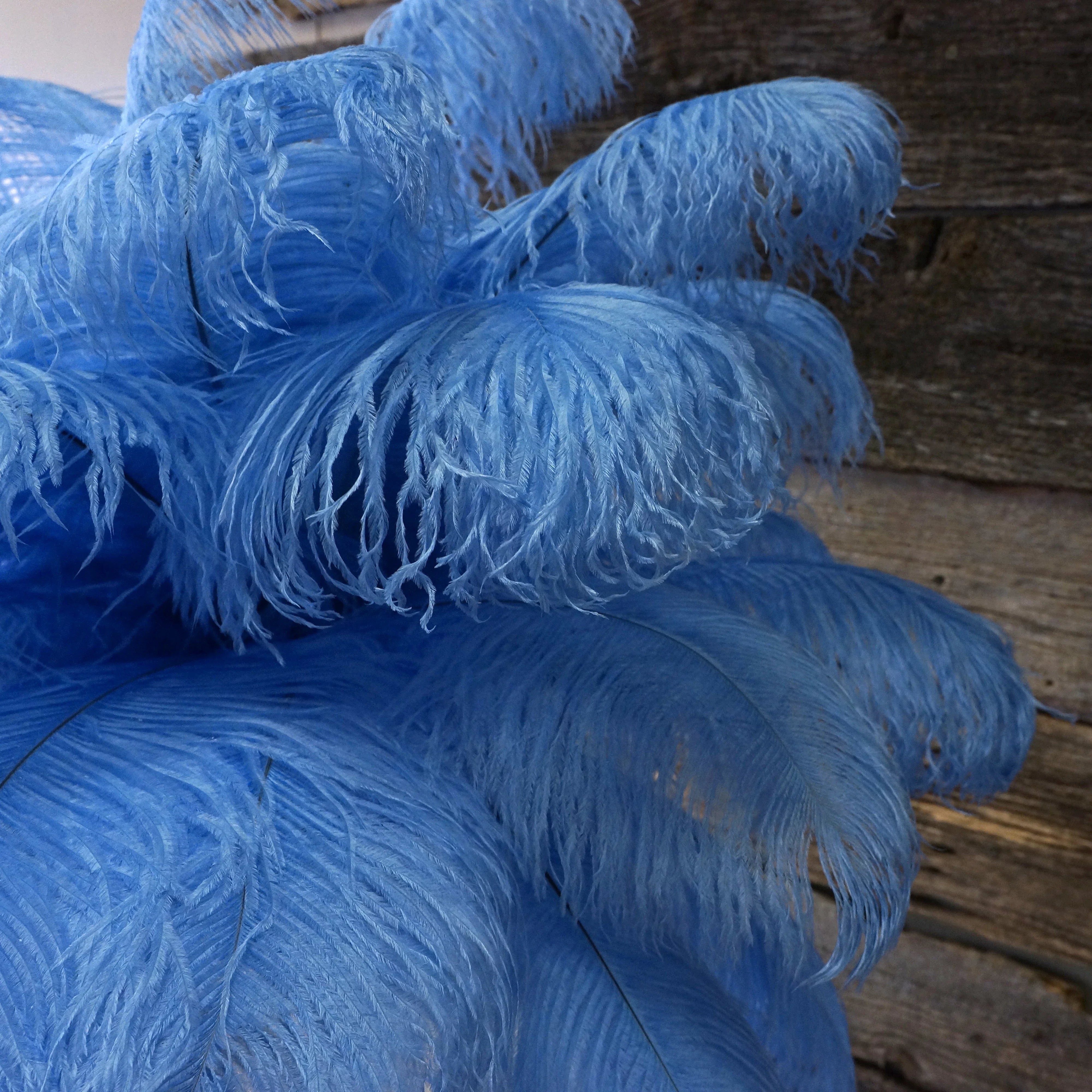 Blue Feathers – Zucker Feather Products, Inc.