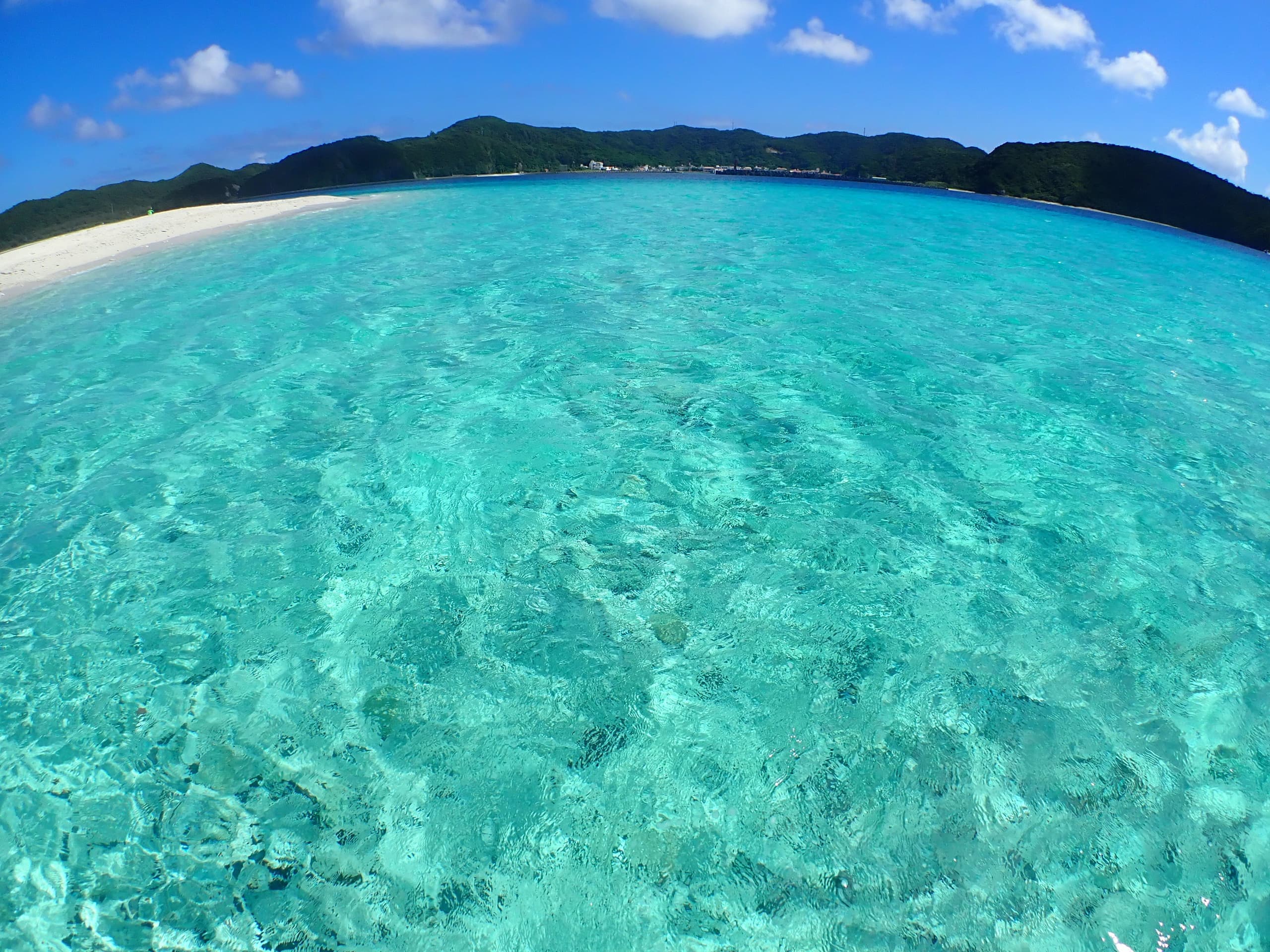 ZAMAMILIFEボートシュノーケリング