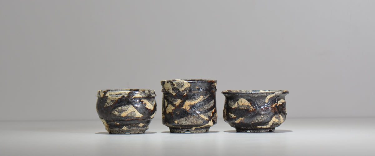 塊根植物・観葉植物の植木鉢専門店 「HACHILABO - ハチラボ- 」