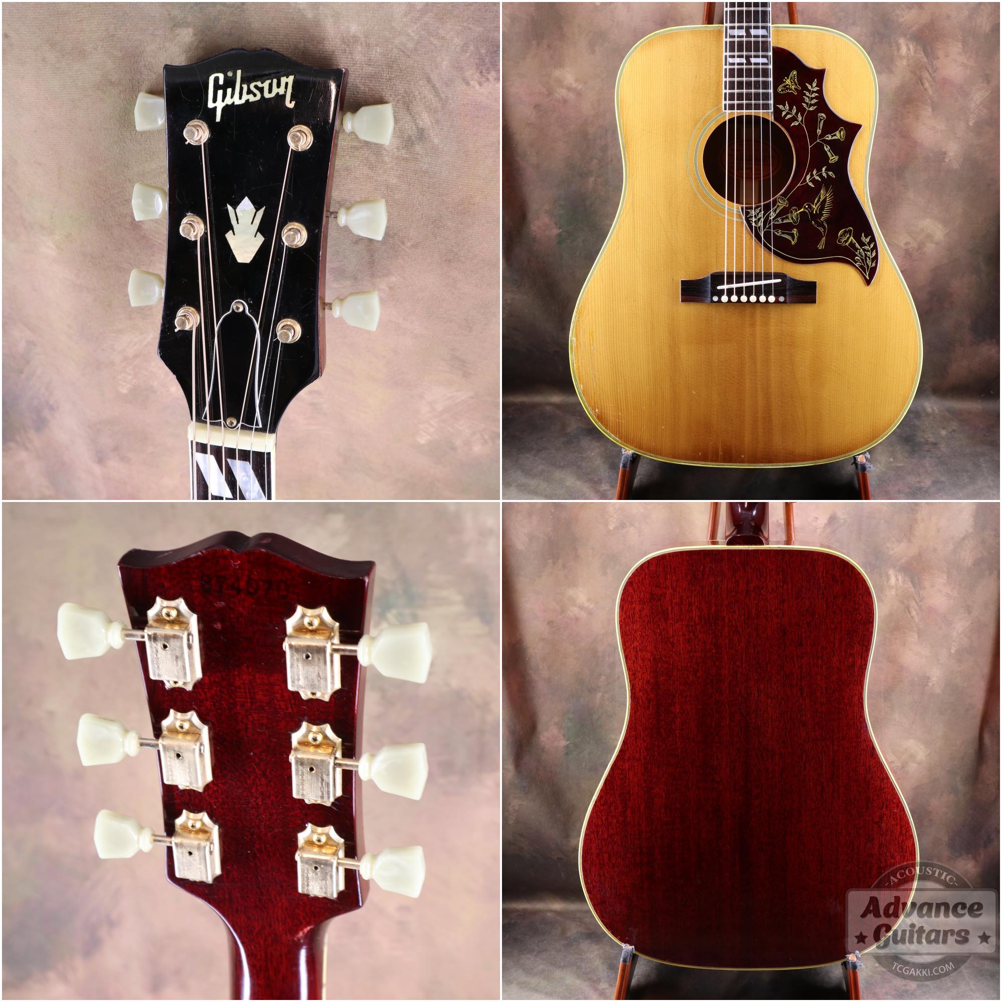 1967年製 Hummingbird Natural