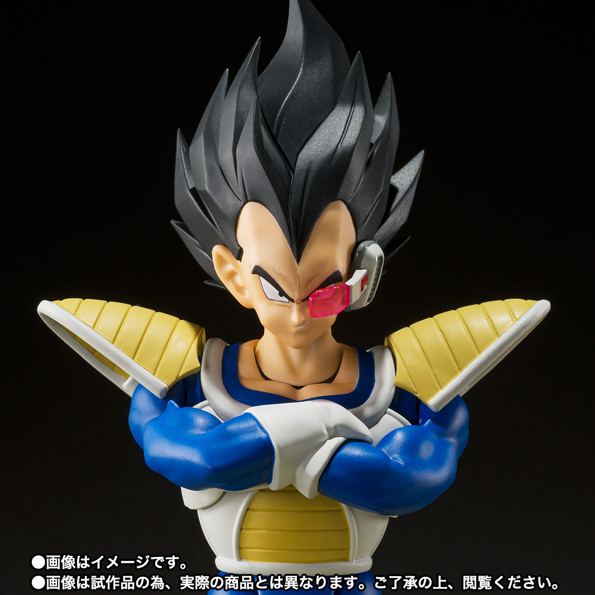 S.H.Figuarts ベジータ-24000の戦闘力- | 魂ウェブ