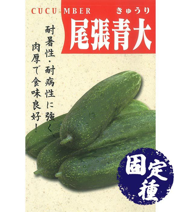 キュウリ|固定種 在来種に強い 野菜のタネ専門通販サイト|アサヒのぐるたね