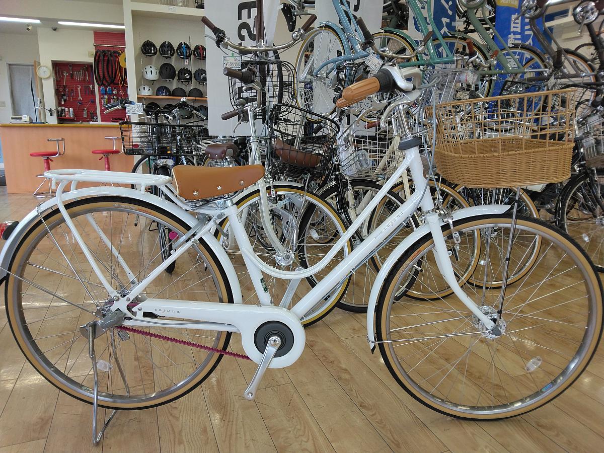 カジュナ ベルト スイートライン｜自転車のタニサダ