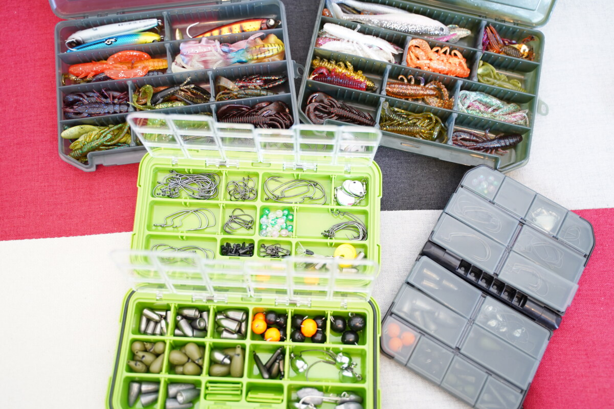 ロックフィッシュの理想のケース。おすすめはこれ。 | たにせん