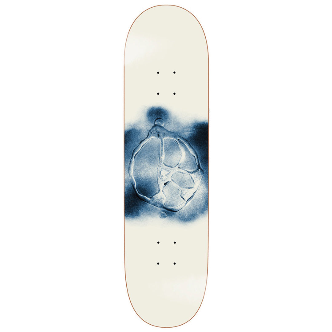 POLAR SKATE CO. （ポーラー スケート カンパニー）| スノーボード