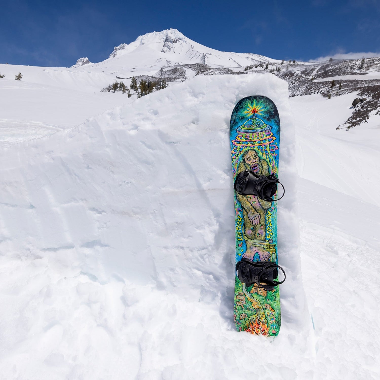 Lib Tech x Tactics Dynamo C3 Snowboard 156 | TACTICS JAPAN