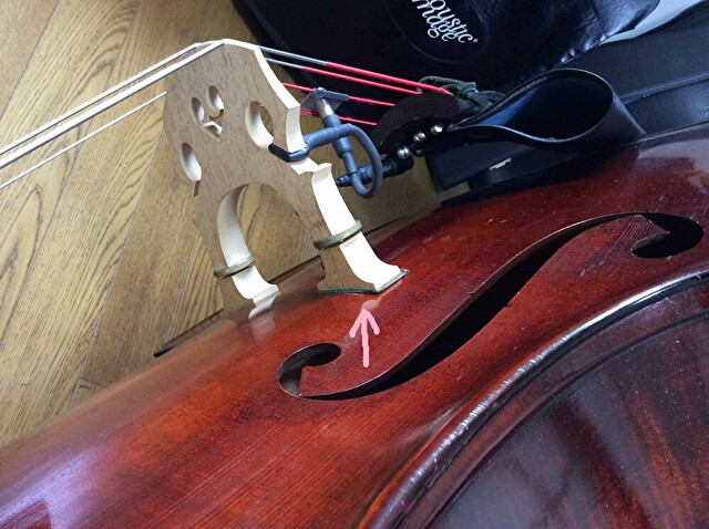 ウッドベースのピックアップ、おすすめ5選【演奏歴20年のぼくが