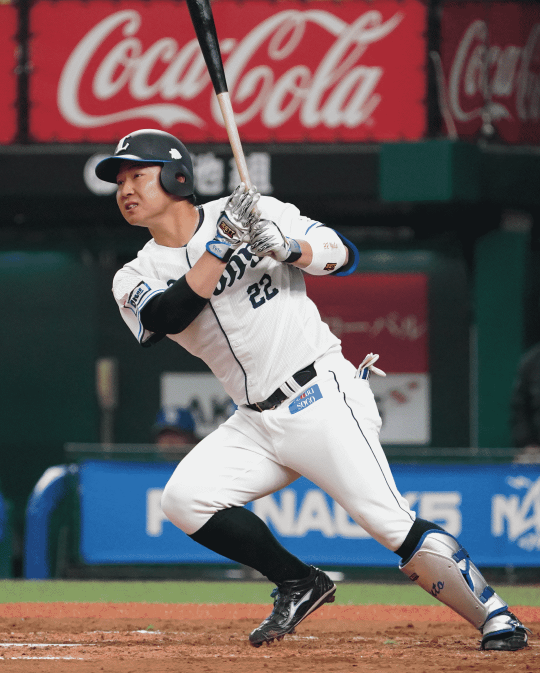 taitai（タイタイ）公式サイト