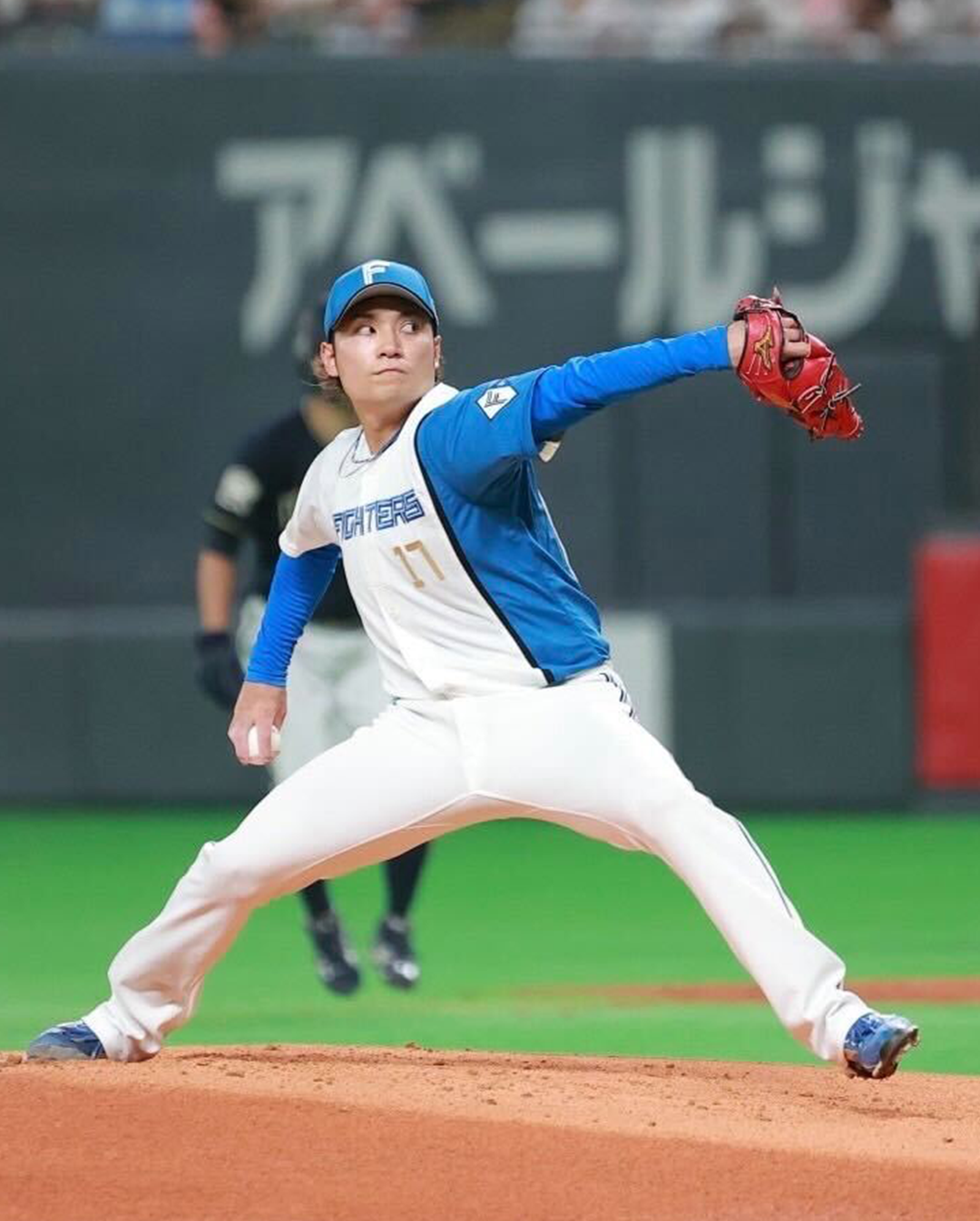 taitai（タイタイ）公式サイト