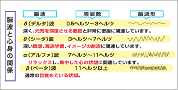 ボイジャーエクセルプロテウス