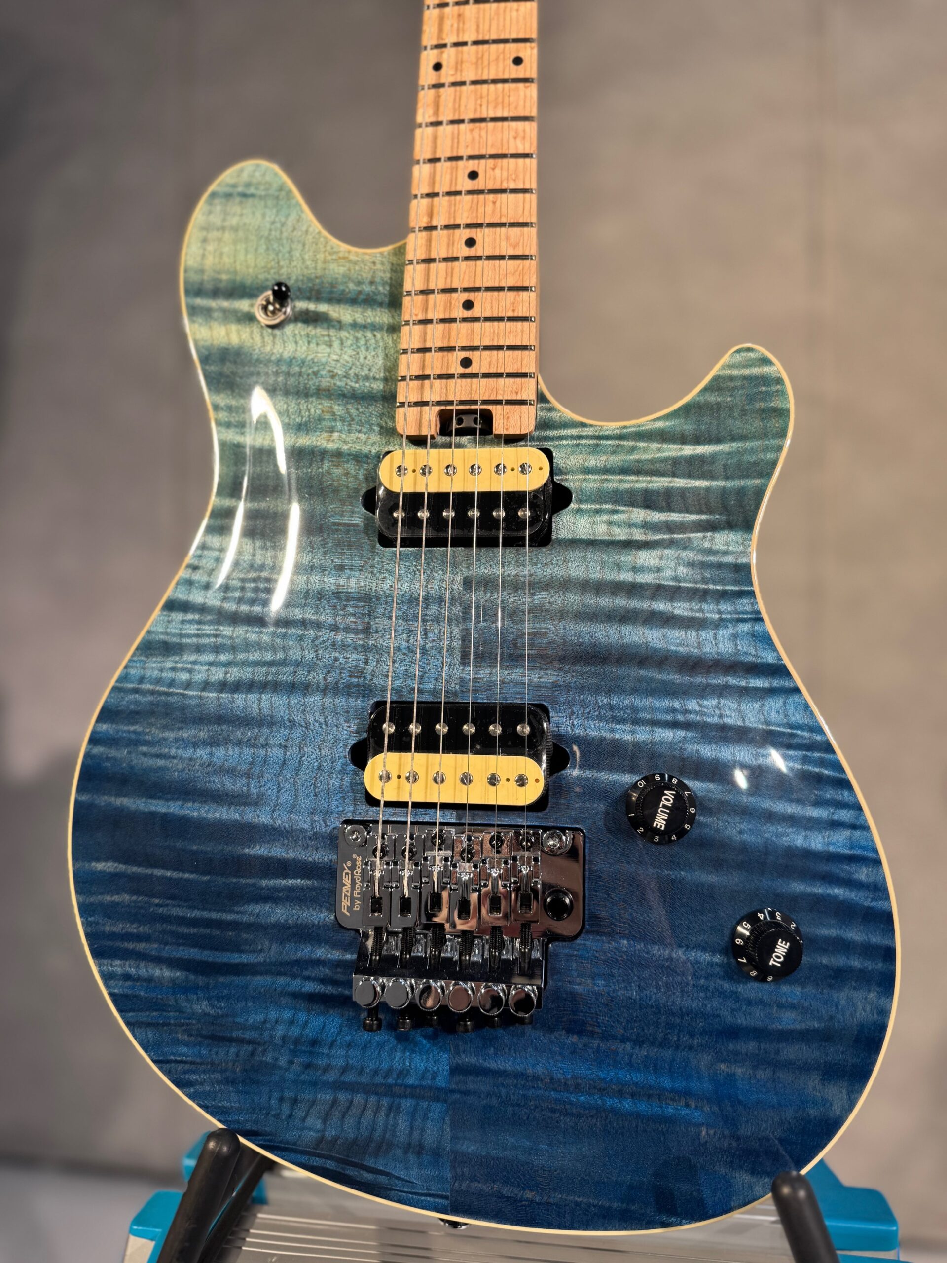 Peavey HP-2 Deep Ocean【イオンモール大和郡山店】 | 天理楽器