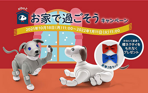 aiboオリジナル 蝶ネクタイをもれなくプレゼント！『aiboと過ごす夏
