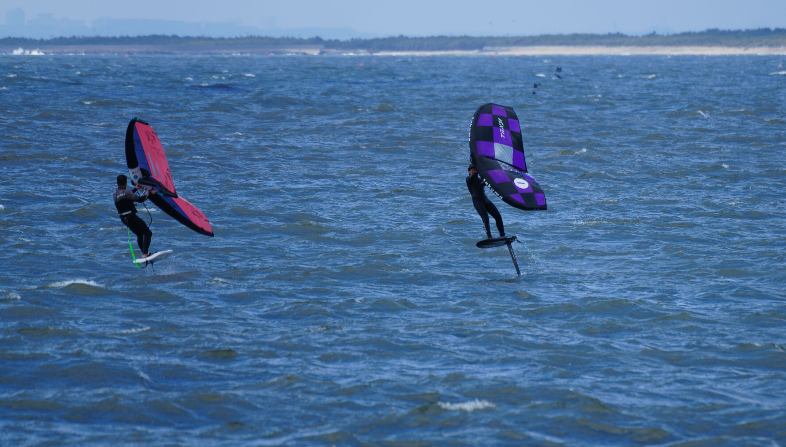 WING FOIL Session / Armstrong Foils HA v2 | TED OCEAN SPORTS BLOG
