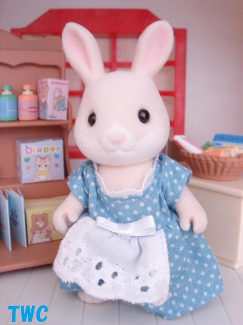 シルバニア 25thワールドコレクション | Teeny Weeny Club