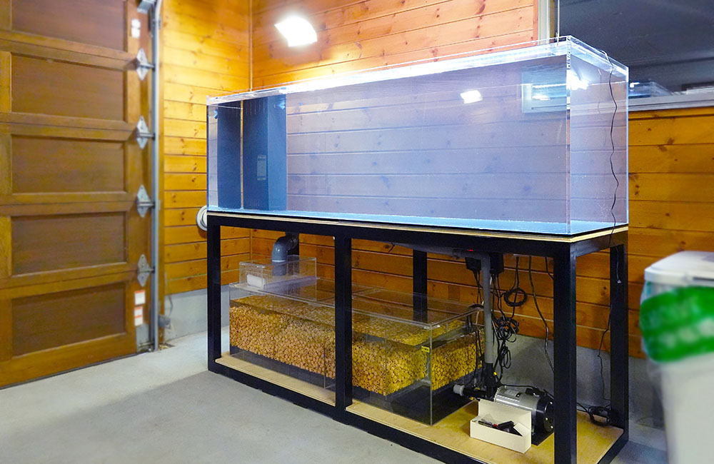 オーダーメイド水槽って高いのか・値段が決まる条件・発注テクニック