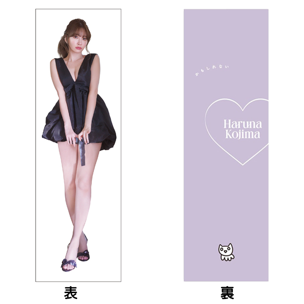 宝島チャンネル限定】小嶋陽菜写真集 かもしれない & 抱き枕カバー