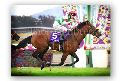 JRA VAN限定 エフフォーリア レーシングパネル