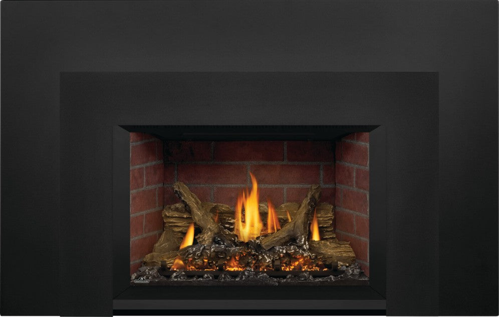 Napoleon Oakville X3 Direct Vent Gas Fireplace Insert – The Great