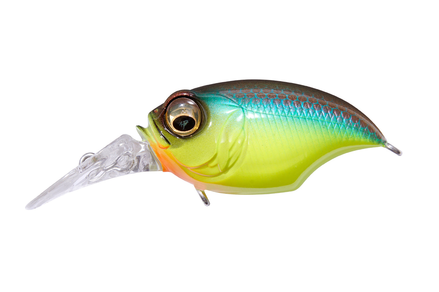 MR-X Griffon – The Hook Up Tackle
