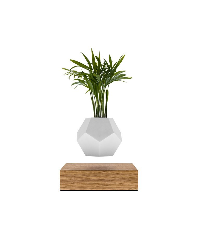 Lyfe フローティング鉢植え - FLYTE | THÉM