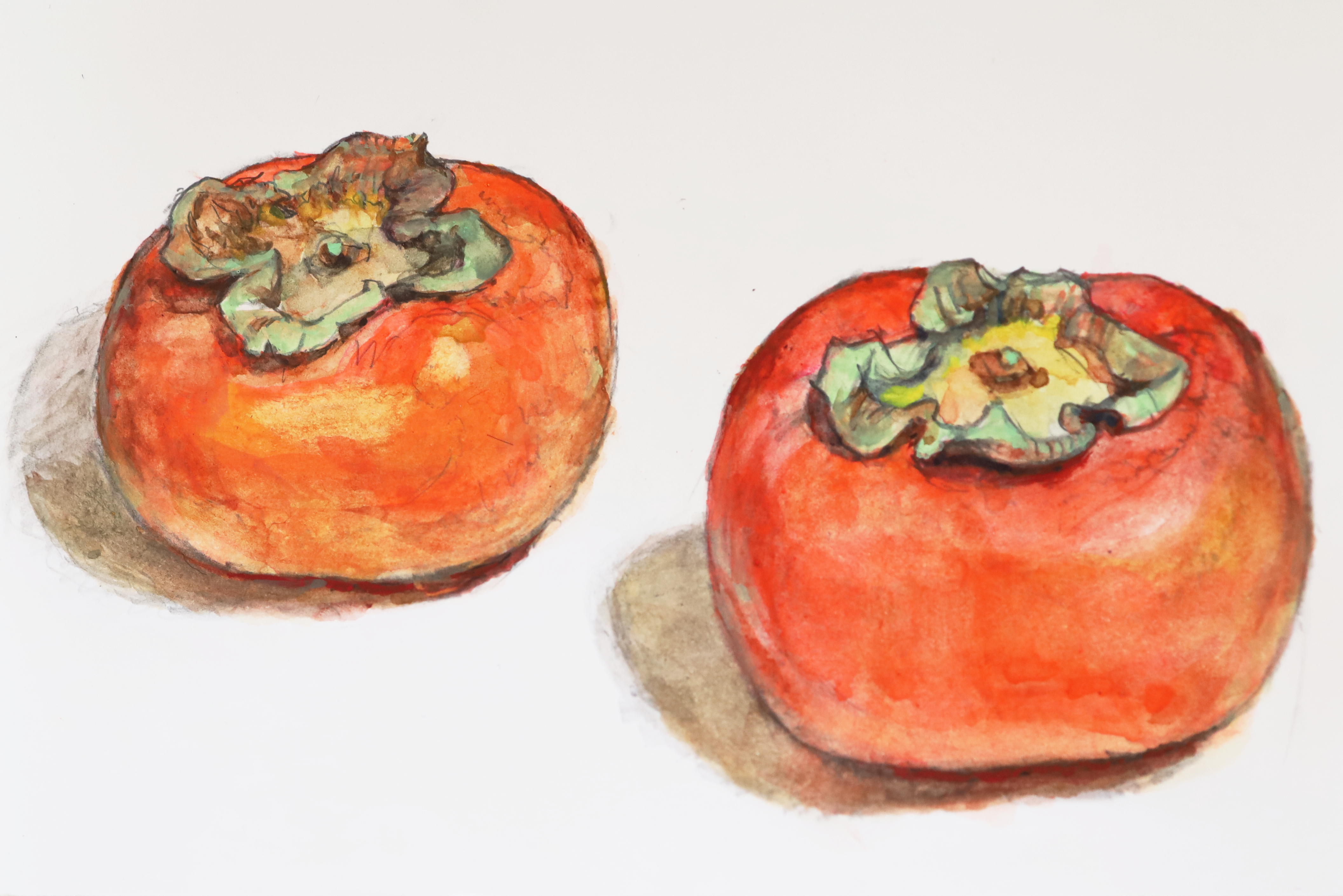 柿 | Arumi77 ｜インテリア絵画 アートの専門通販 thisisgallery