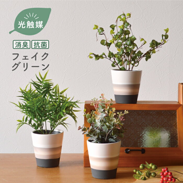 楽天市場】インダストリアル（花・観葉植物｜花・ガーデン・DIY）の通販