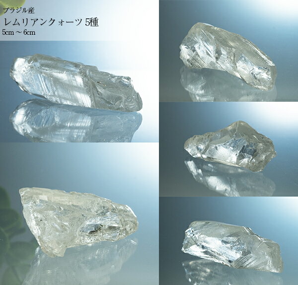 楽天市場】レムリアン ルーツの通販