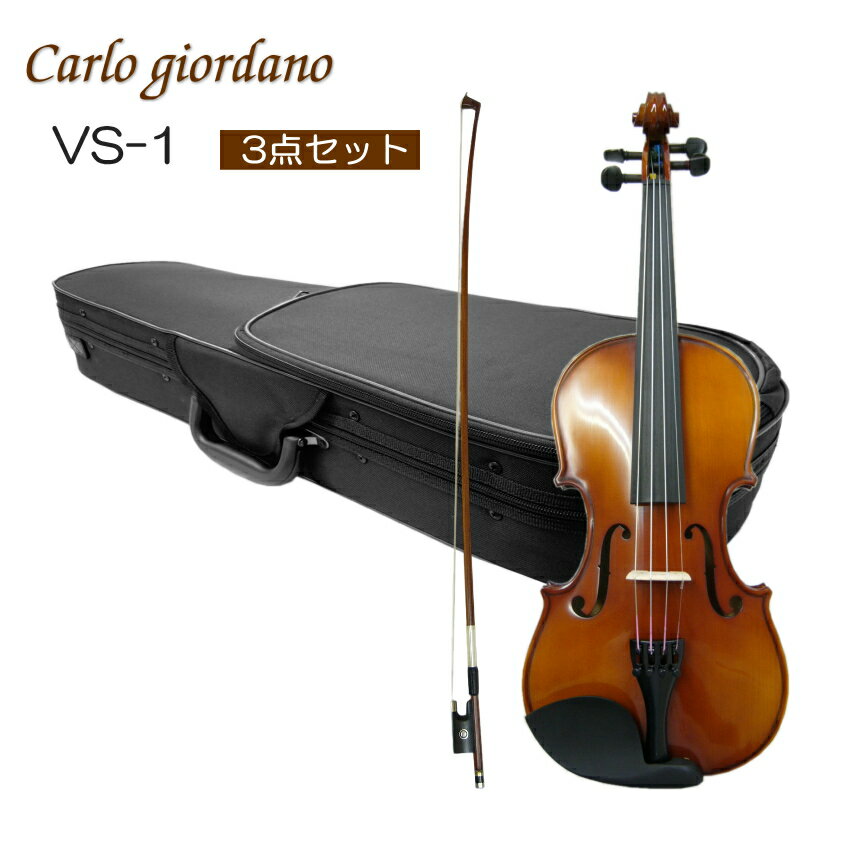 中古良音カルロジョルダーノ VS-1 4⁄4 バイオリン Carlo 美品 Carlo