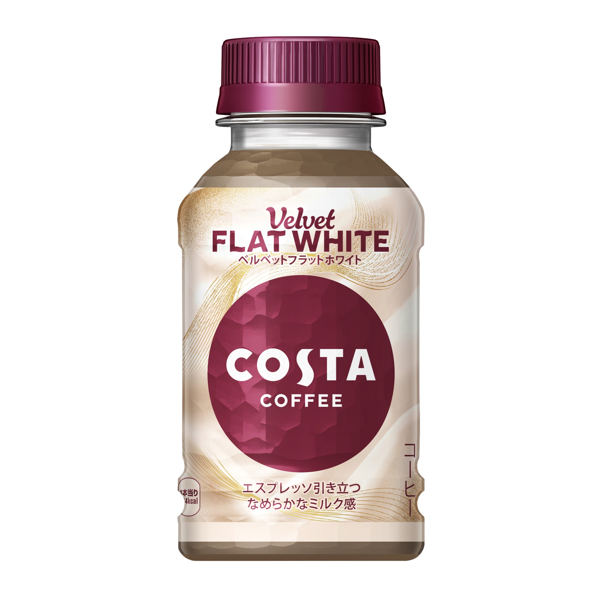 costa280wht.jpg