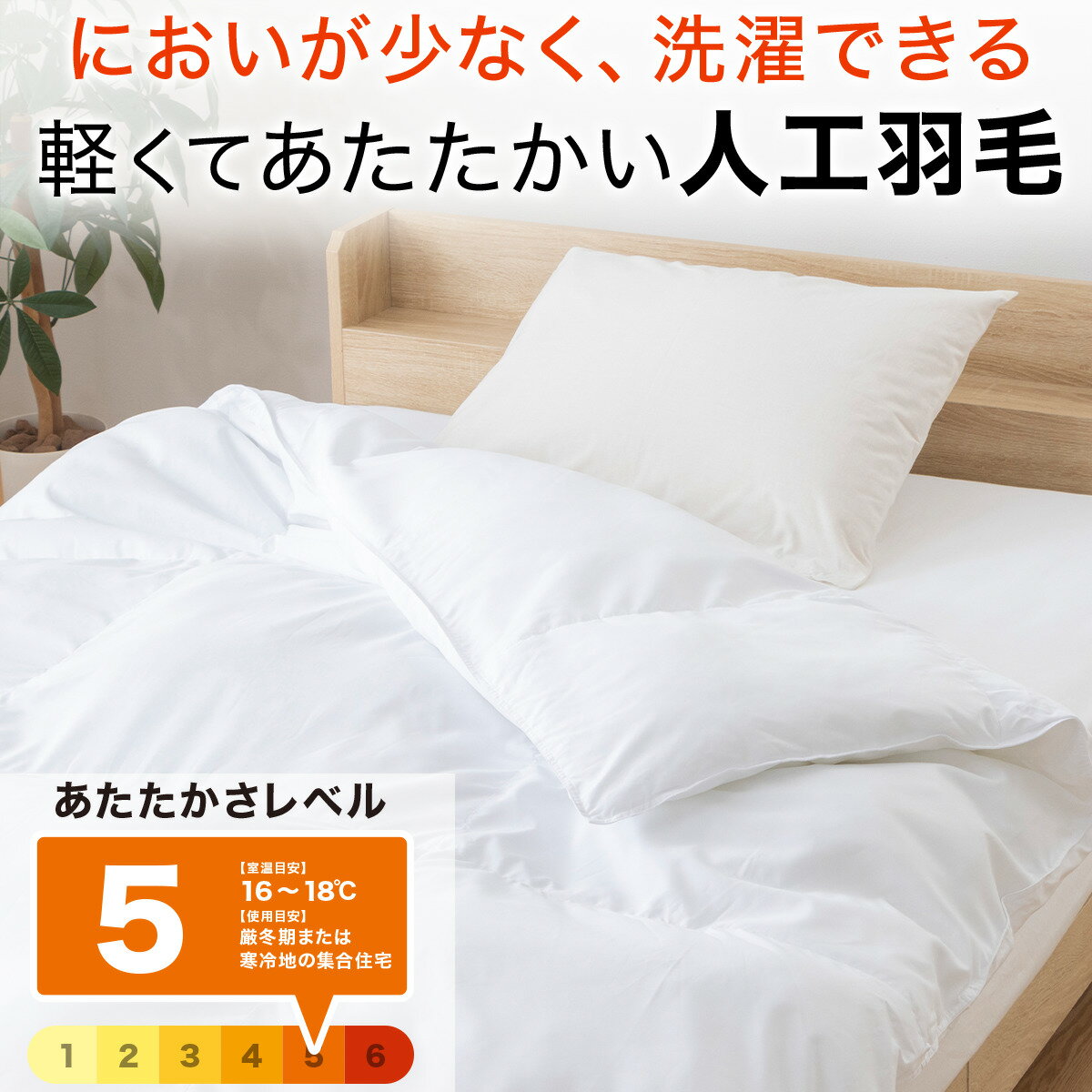 5600976s01.jpg