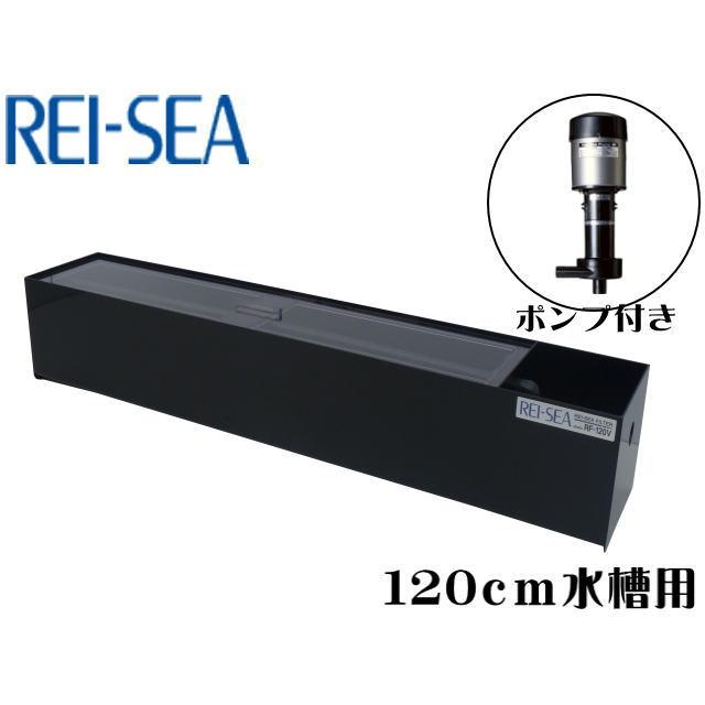 楽天市場】120cm 水槽 上部フィルターの通販
