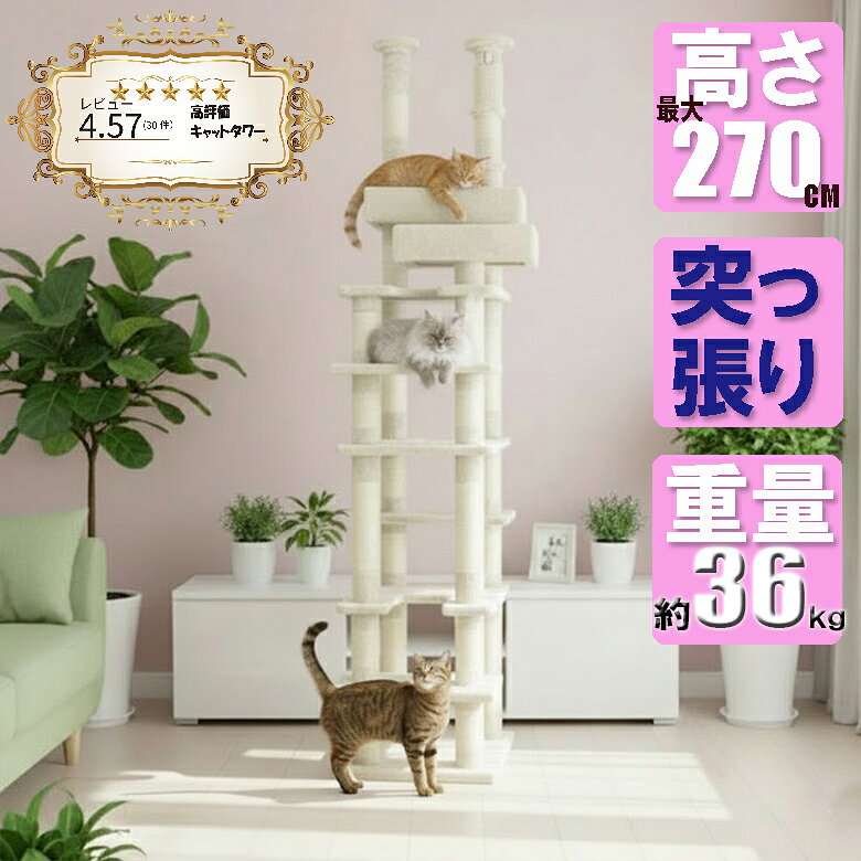 楽天市場】cat wings キャット ウィングスの通販