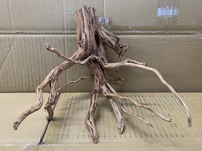 楽天市場】ブランチウッド 流木の通販
