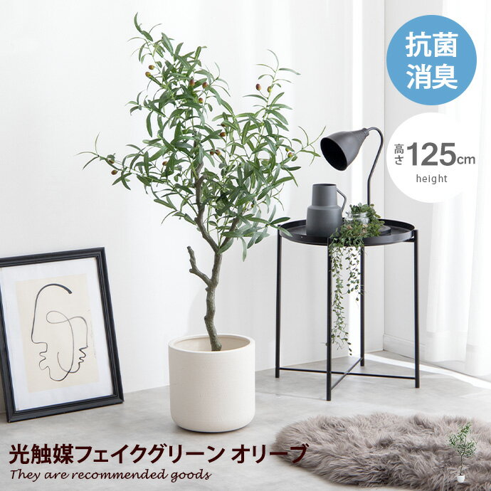 楽天市場】リアル フェイクグリーン（種類（植物）オリーブ）の通販