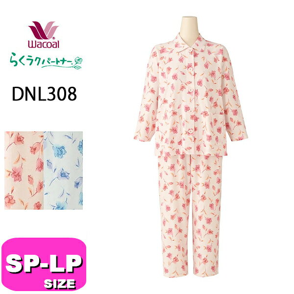 dnl308_01.jpg