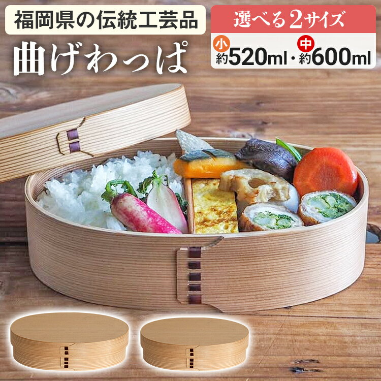曲げわっぱ おひつ 博多曲物 柴田徳商店 杉 3合 ご飯保存容器 曲げ