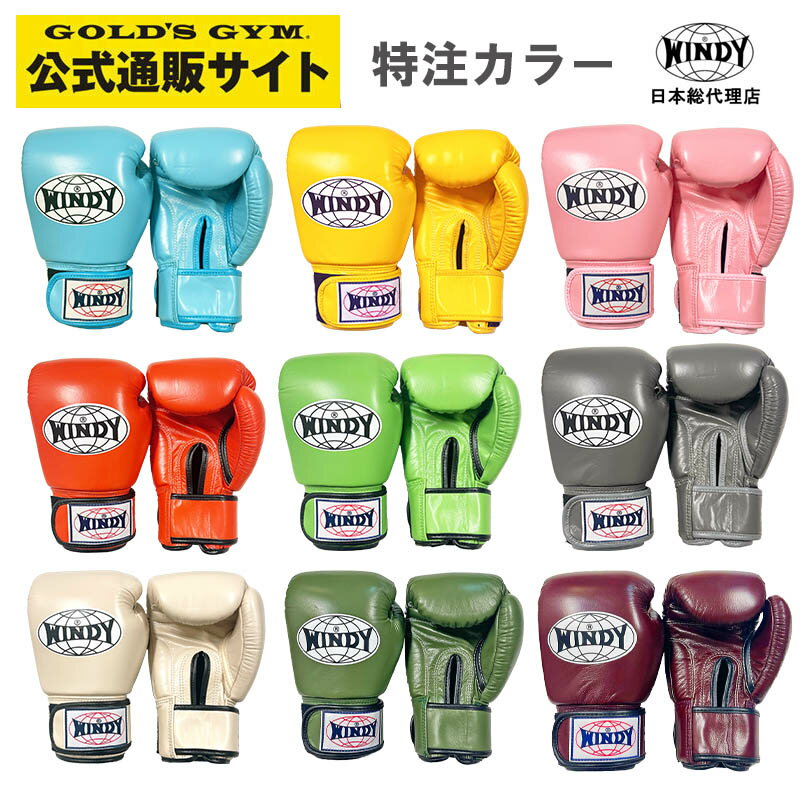 楽天市場】ボクシング グローブ windy 12の通販