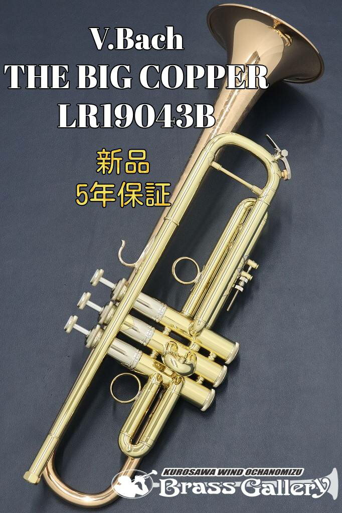 楽天市場】トランペット マウスピース bach 3b（金管楽器｜管楽器