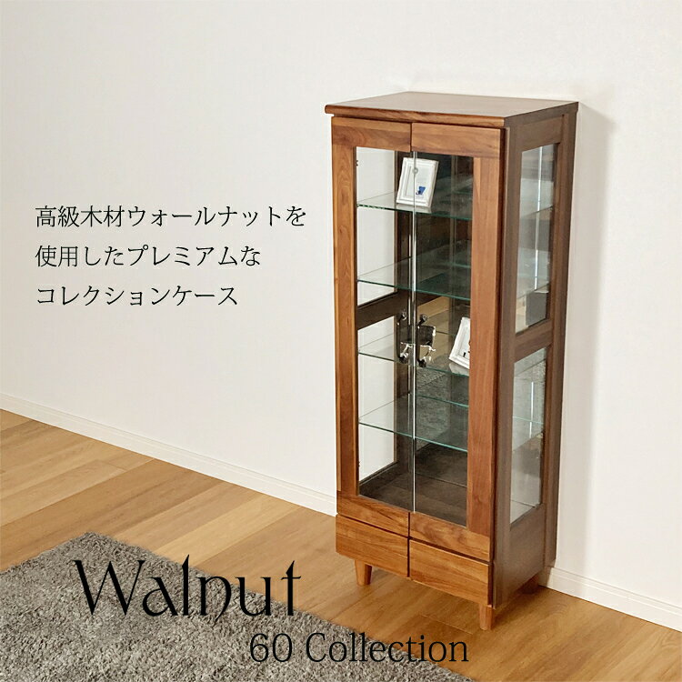 楽天市場】60コレクションボードの通販