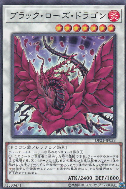 dp21jp00028.jpg
