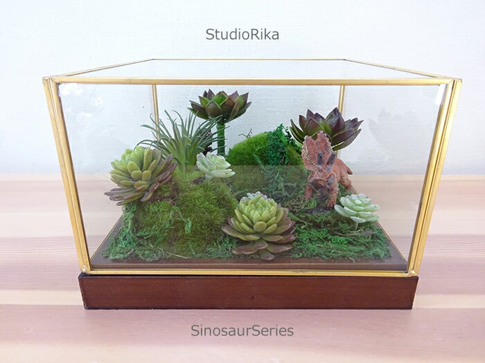 1台限り パルタリウム 植物育成用ガラスケース600×300×450mm 1台限り
