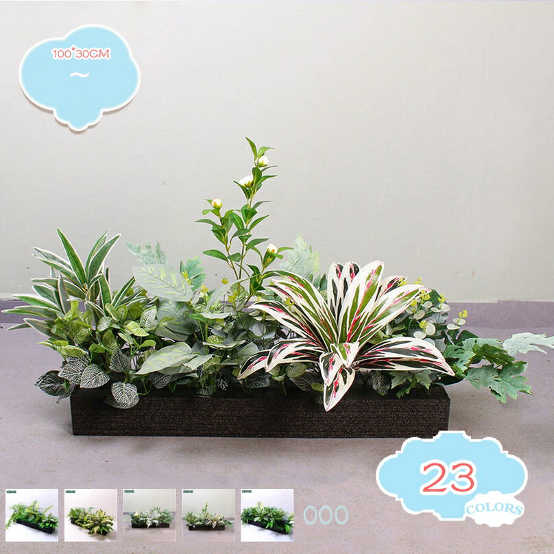 楽天市場】パーティション（花・観葉植物｜花・ガーデン・DIY）の通販