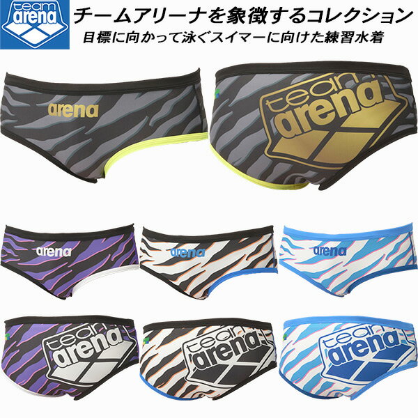 楽天市場】アリーナ vパンツの通販