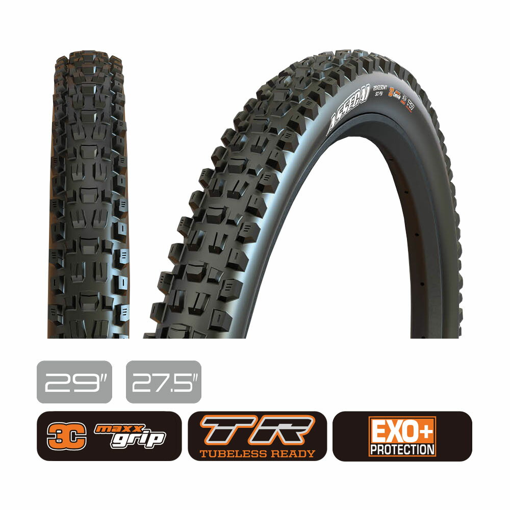 楽天市場】maxxis assegaiの通販