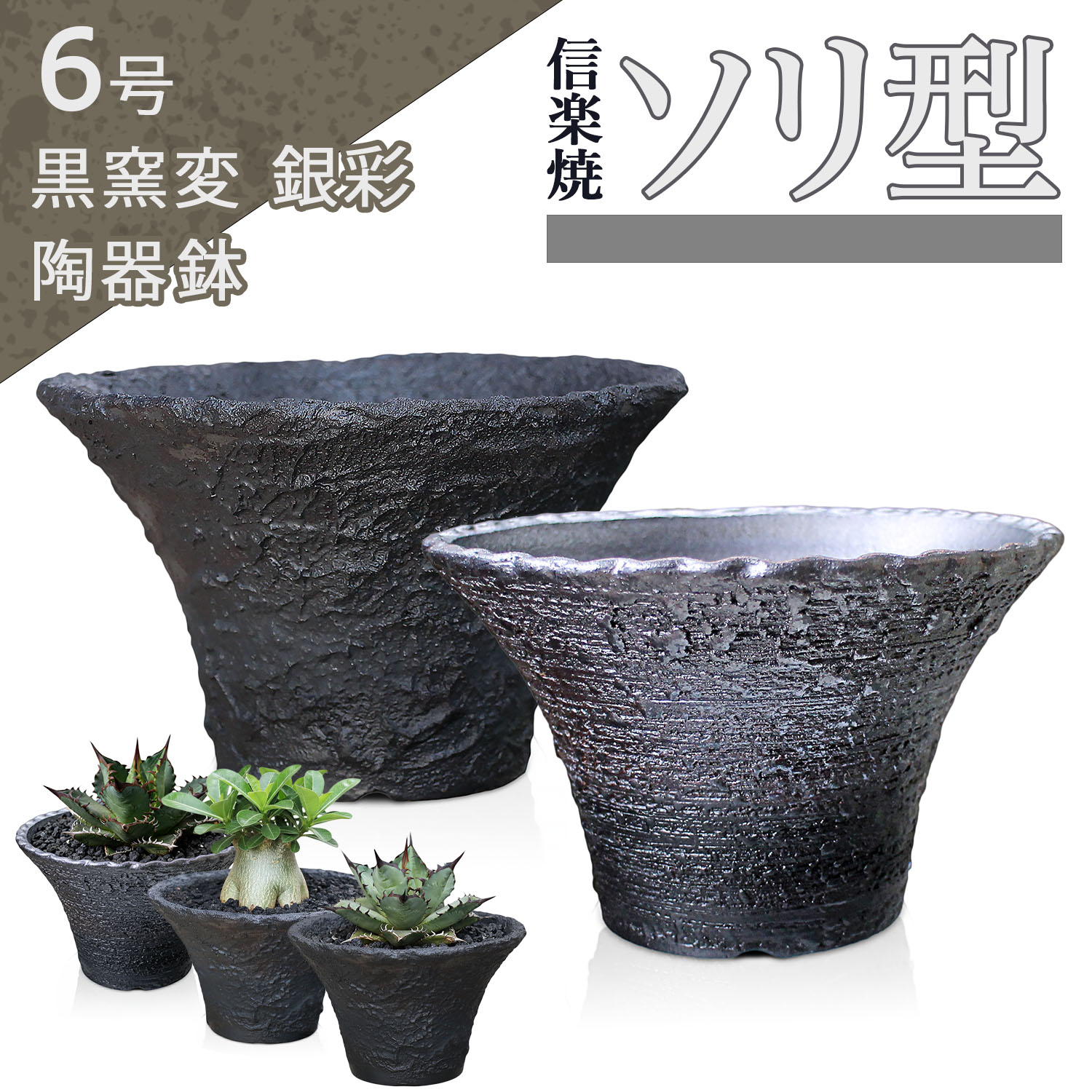 楽天市場】盆栽鉢 6号の通販