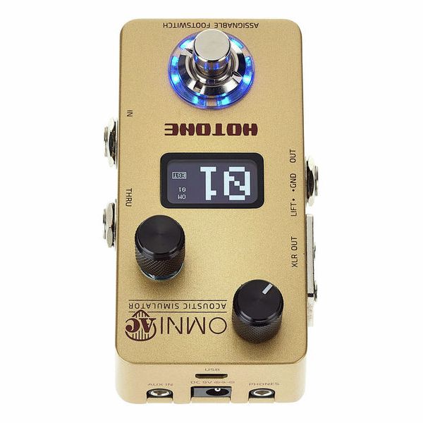 Hotone Omni AC Acoustic Simulator – United States