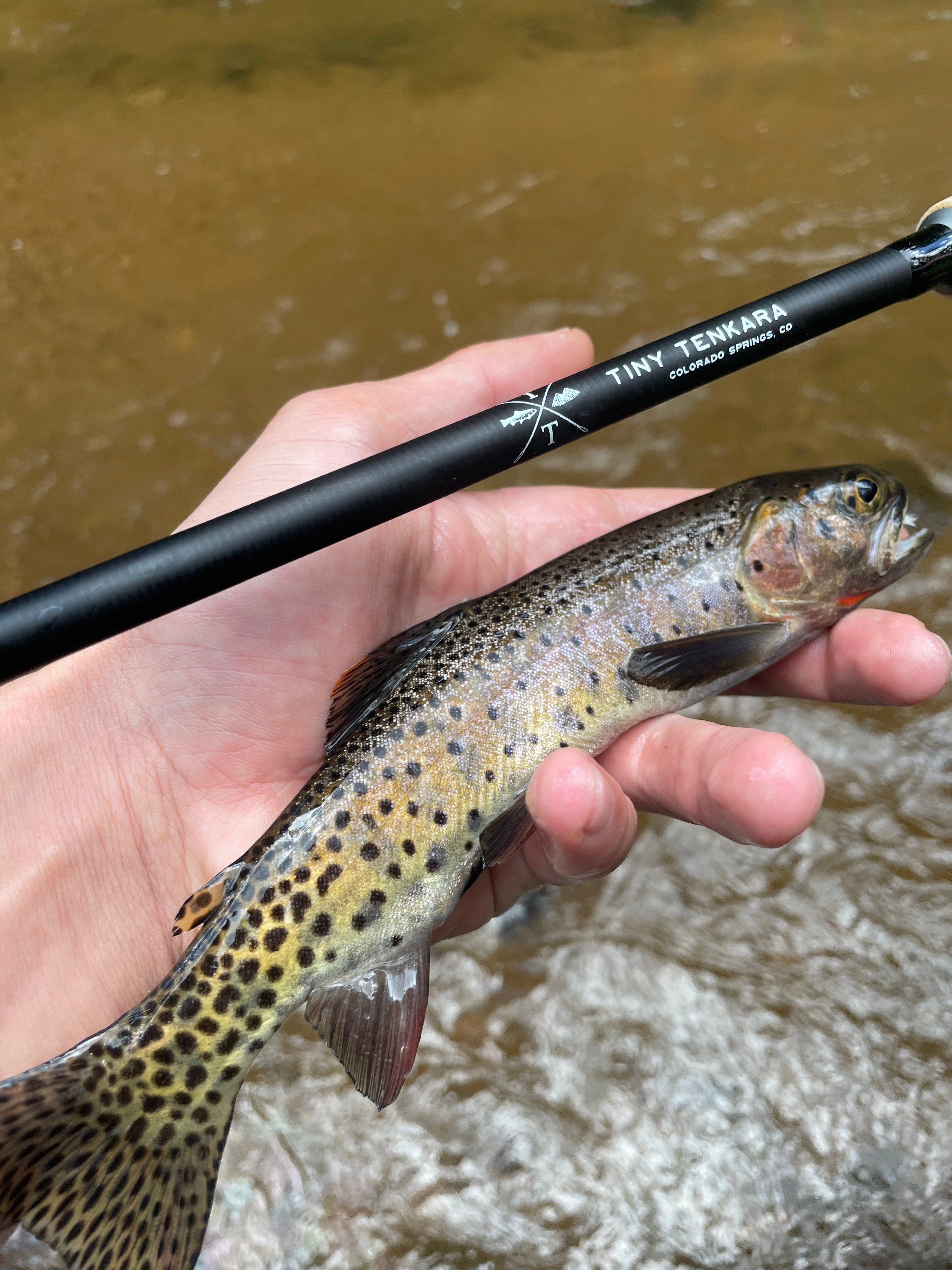 Tiny Tenkara「Tiny Ten」テンカラロッド 超コンパクト Tiny Ten