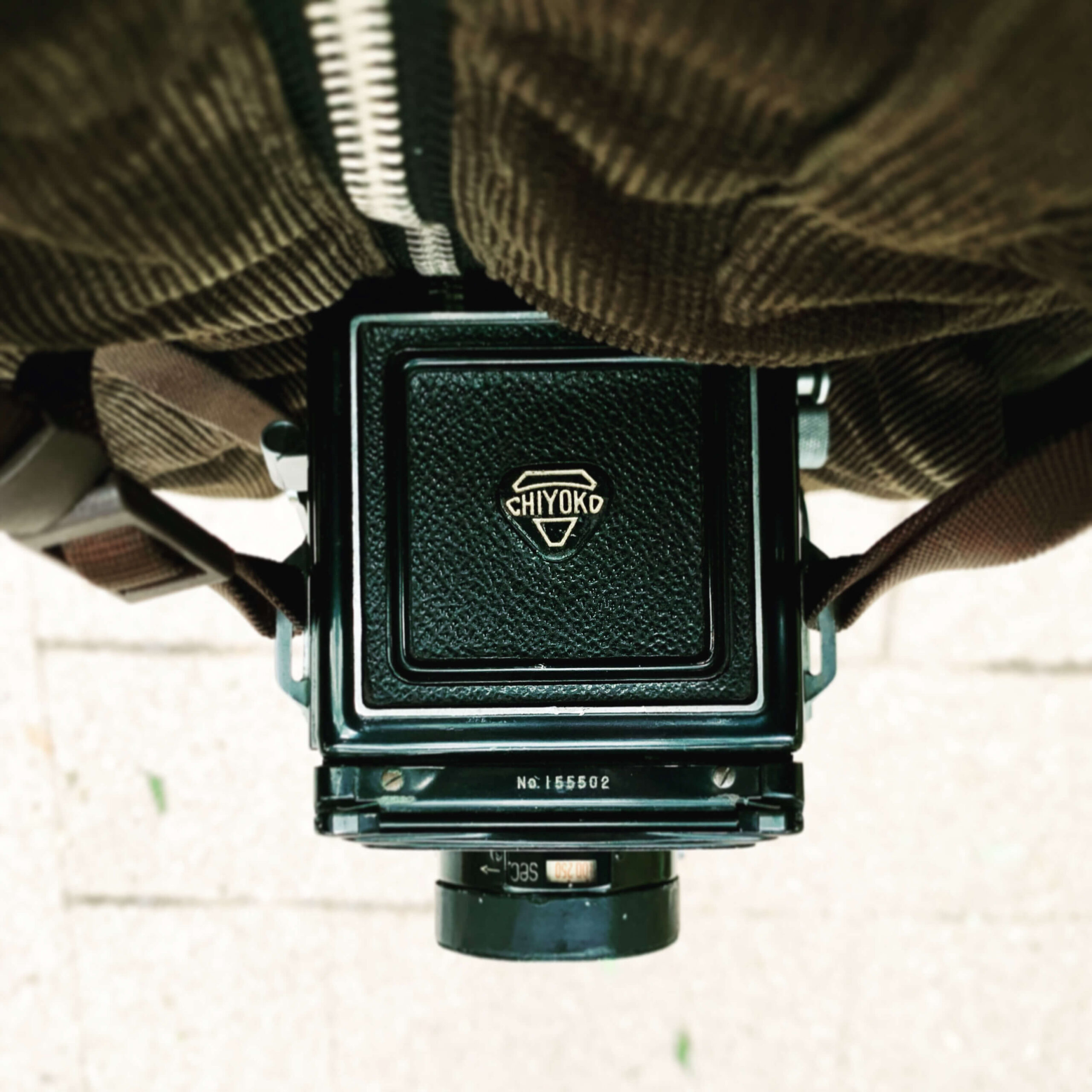 二眼レフカメラ、はじめました。